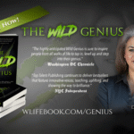 The Wild Genius Book Featuring Diane Strand — Real Stories of Creativity and Leadership